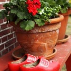 Meet your Posher, Janet